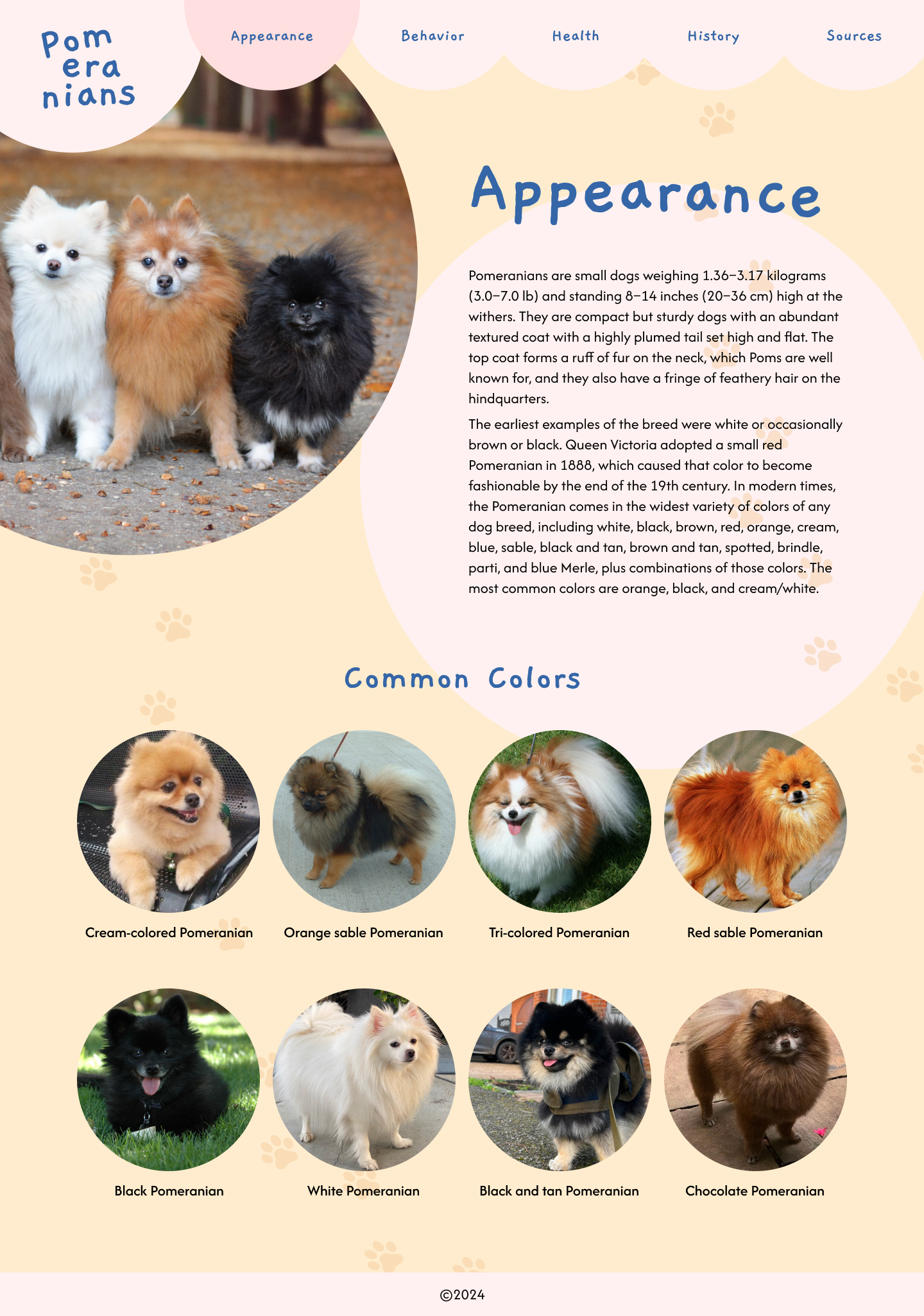 Pomeranians microsite mockup A desktop